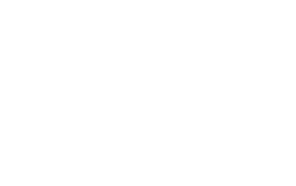 PE logo wit