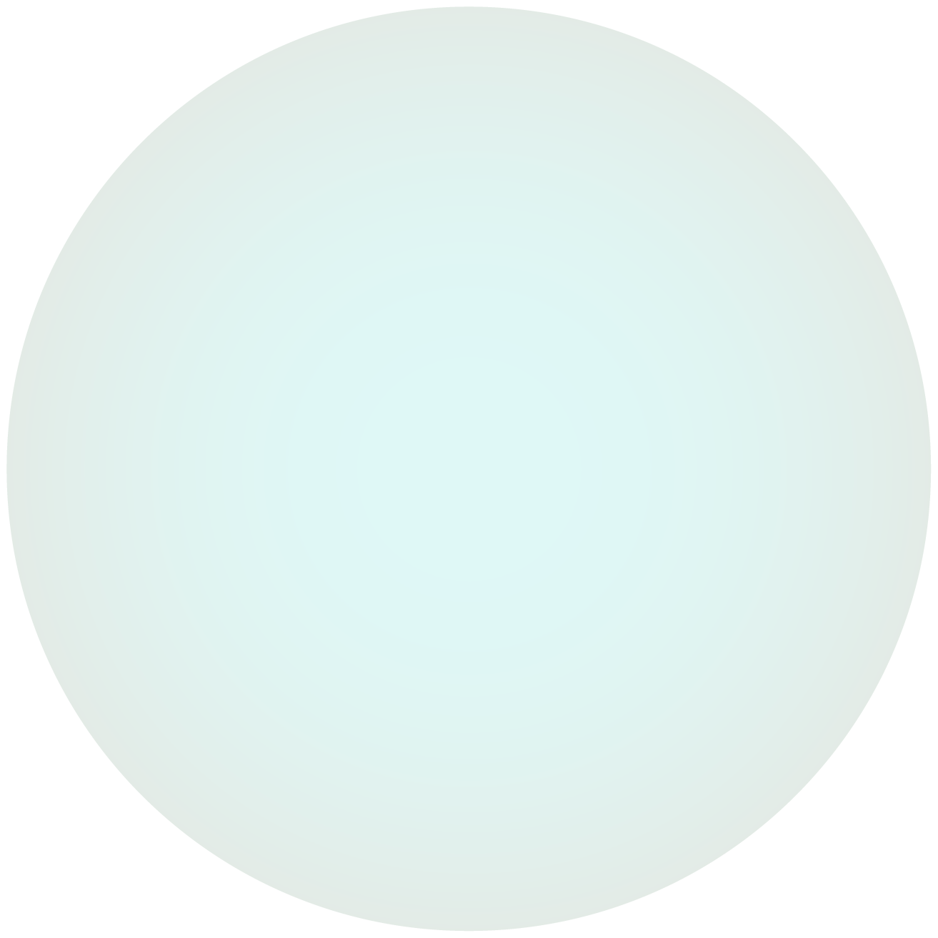bol03